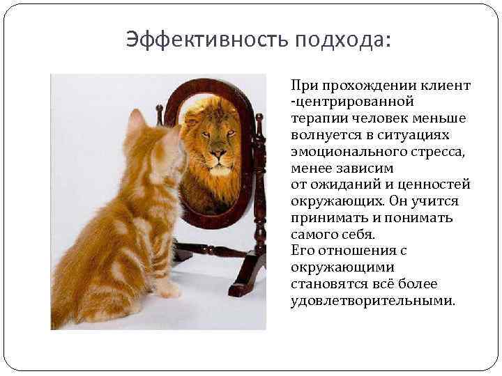 Эффективность подхода:    При прохождении клиент   -центрированной   