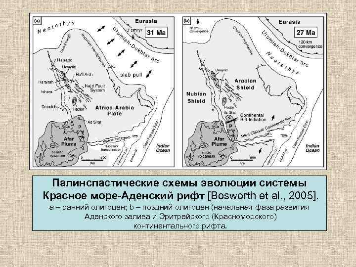  Палинспастические схемы эволюции системы Красное море-Аденский рифт [Bosworth et al. , 2005]. 