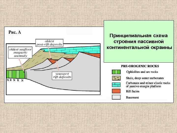 Принципиальная схема строения пассивной континентальной окраины 