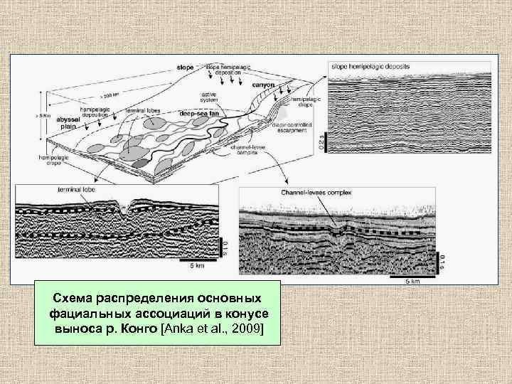 Схема распределения основных фациальных ассоциаций в конусе выноса р. Конго [Anka et al. ,