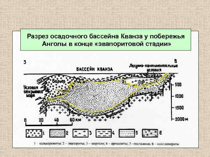 Разрез осадочного бассейна Кванза у побережья Анголы в конце «эвапоритовой стадии» 