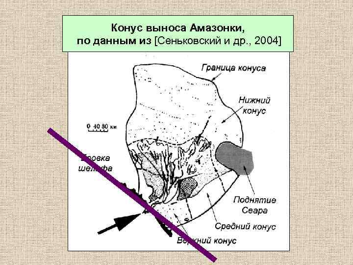 Конус выноса Амазонки, по данным из [Сеньковский и др. , 2004] 