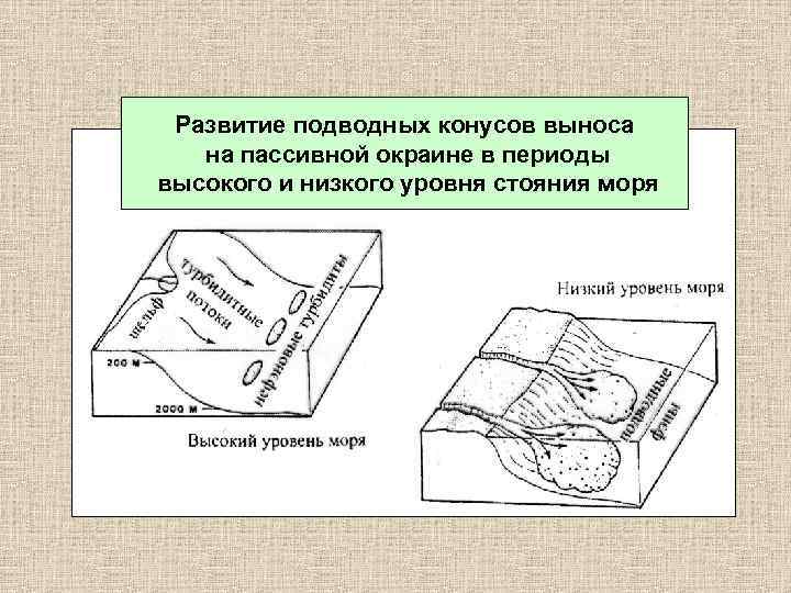 Развитие подводных конусов выноса на пассивной окраине в периоды высокого и низкого уровня стояния