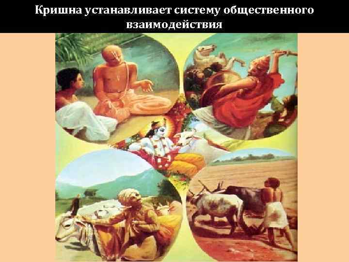 Кришна устанавливает систему общественного   взаимодействия 