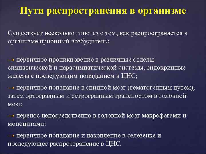 Пути распространения в организме Существует несколько гипотез о том, как распространяется в Пути распространения в организме Существует несколько гипотез о том, как распространяется в