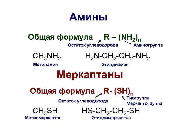     Амины Общая формула    R – (NH 2)n