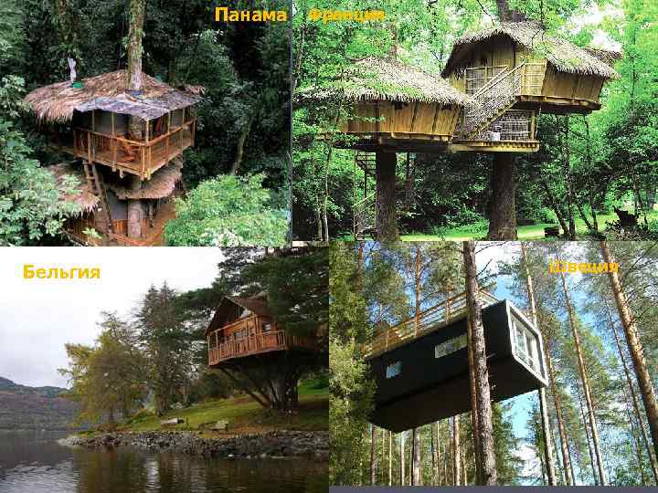    Панама  Франция Бельгия     Швеция 