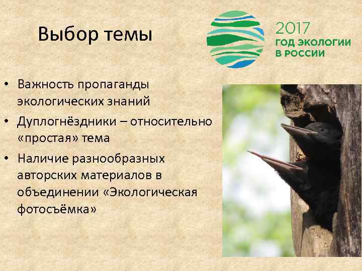   Выбор темы  • Важность пропаганды  экологических знаний • Дуплогнёздники –