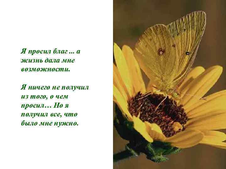 Я просил благ. . . а жизнь дала мне возможности.  Я ничего не
