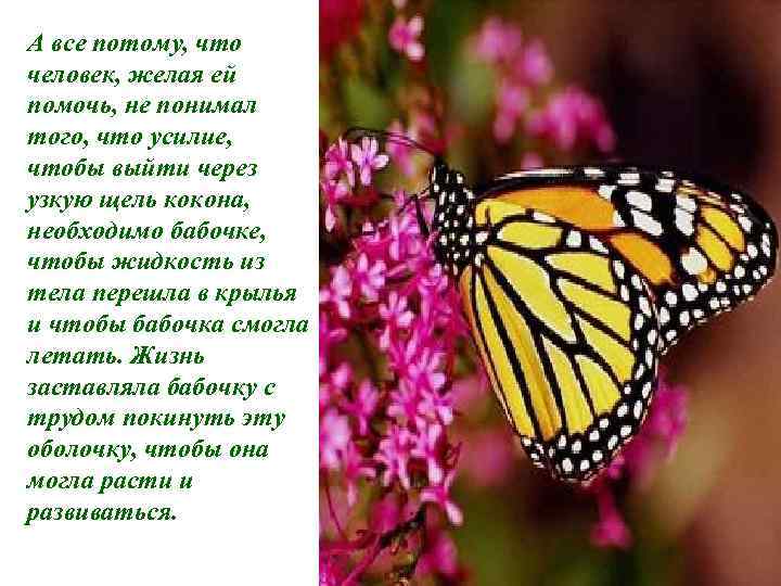 А все потому, что человек, желая ей помочь, не понимал того, что усилие, чтобы