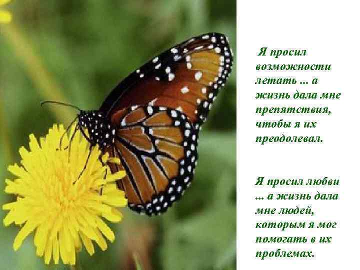  Я просил возможности летать. . . а жизнь дала мне препятствия, чтобы я