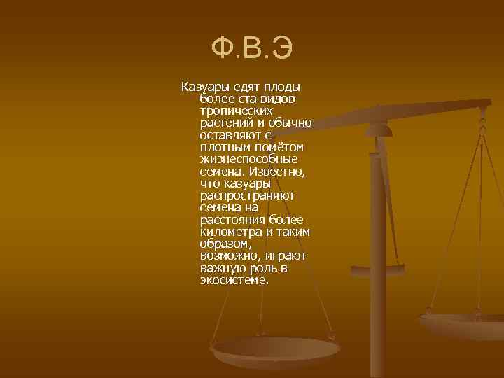   Ф. В. Э Казуары едят плоды  более ста видов  тропических