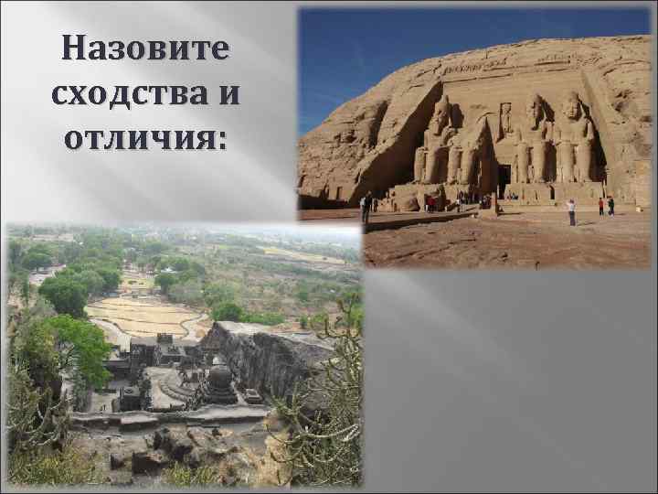  Назовите сходства и отличия: 