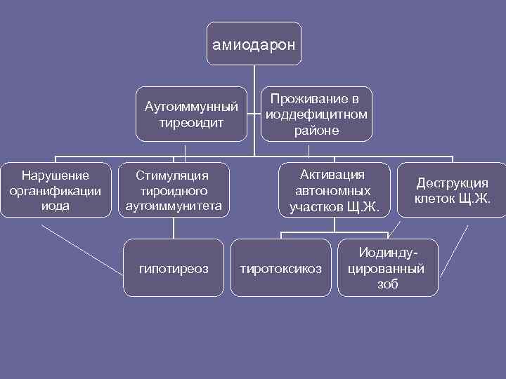      амиодарон       Проживание