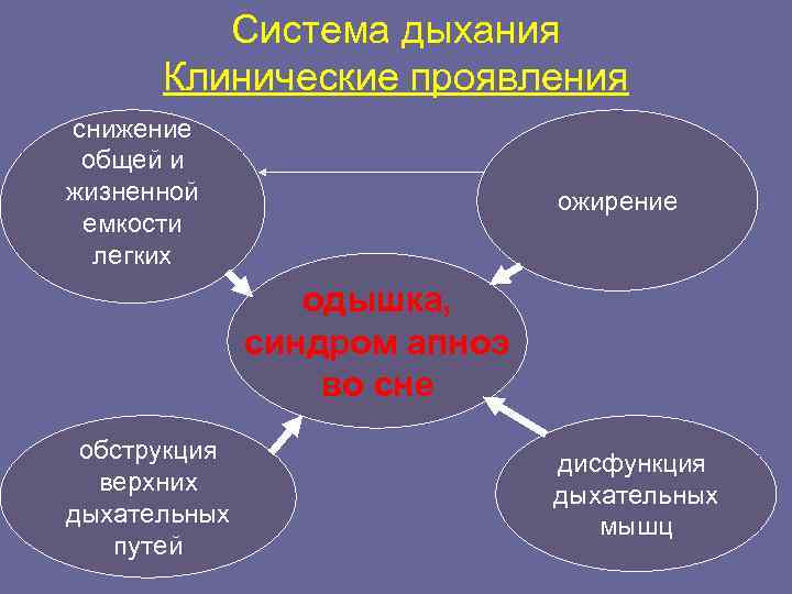    Система дыхания  Клинические проявления снижение общей и жизненной  