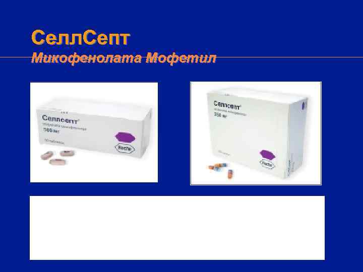 Селл. Септ Микофенолата Мофетил 