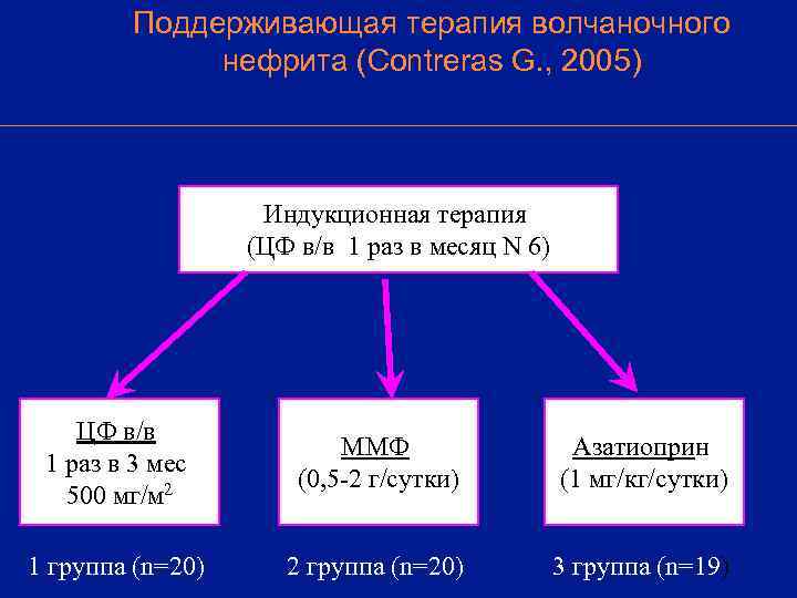    Поддерживающая терапия волчаночного    нефрита (Contreras G. , 2005)