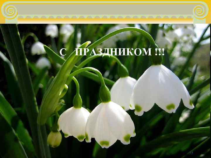 С  ПРАЗДНИКОМ !!!     33 