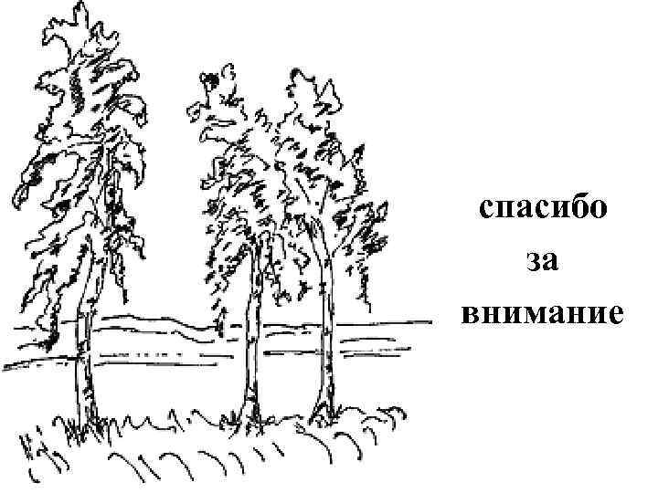  спасибо за внимание 