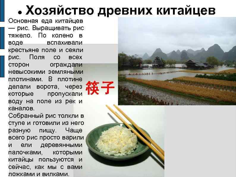 Какой рис в китае. Рис в древнем Китае. Рис Китай растет в древности. Древние китайцы выращивают рис. Рис в древности.