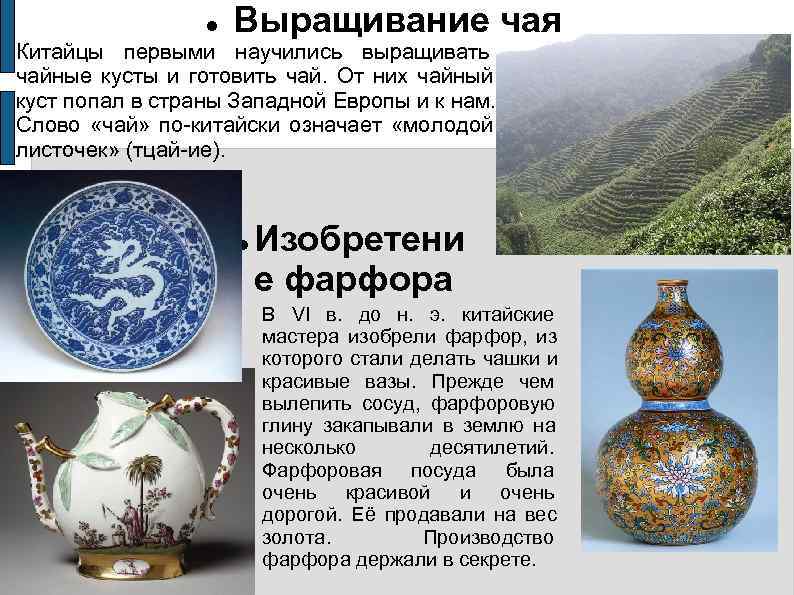     Выращивание чая Китайцы первыми научились выращивать чайные кусты и готовить