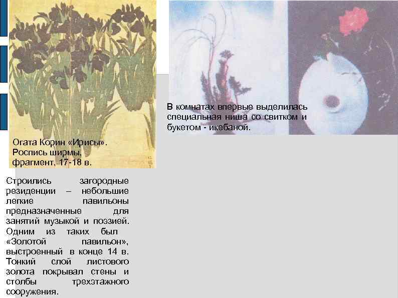        В комнатах впервые выделилась   