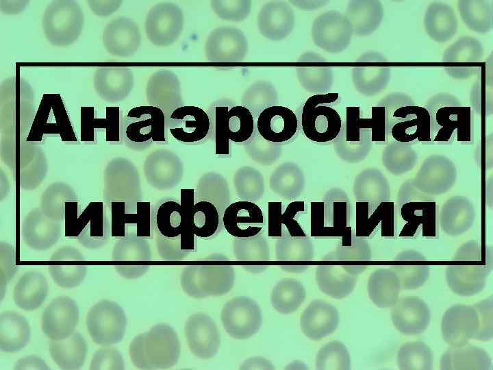 Анаэробная инфекция 