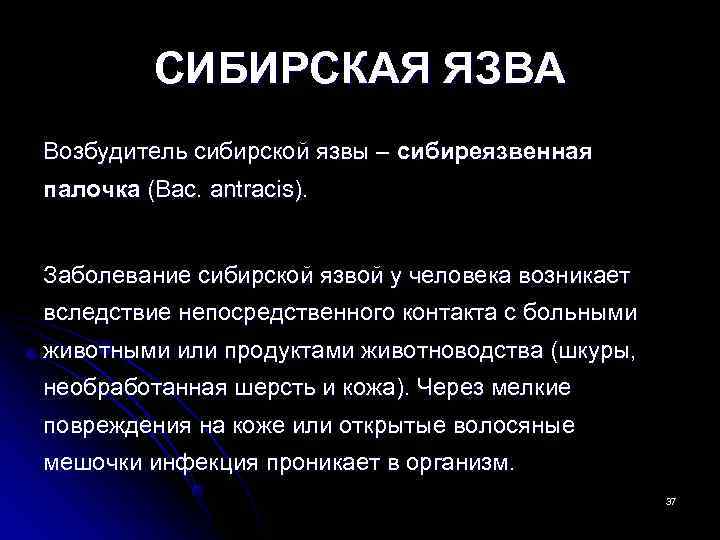    СИБИРСКАЯ ЯЗВА Возбудитель сибирской язвы – сибиреязвенная палочка (Bac. antracis). 