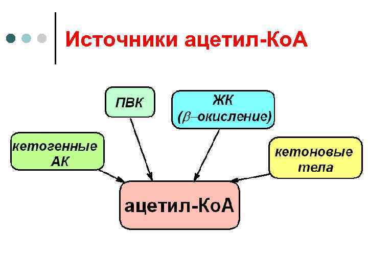 Источники ацетил-Ко. А 