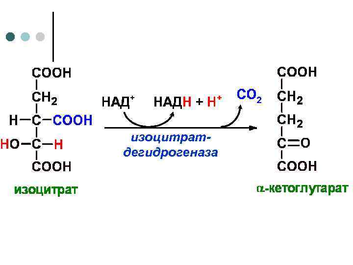  изоцитрат- дегидрогеназа 
