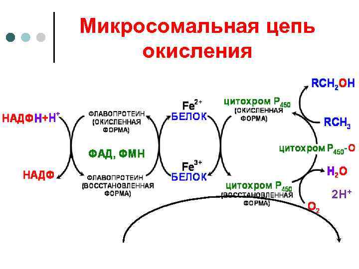 Микросомальная цепь окисления      2 Н+ 