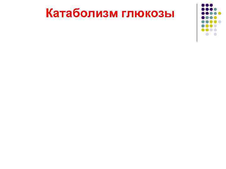 Катаболизм глюкозы 