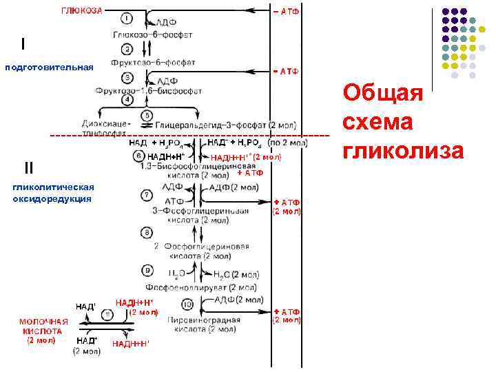  I подготовительная     Общая    схема  