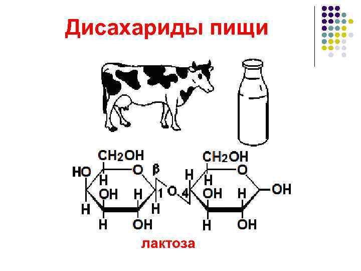 Дисахариды пищи   лактоза 