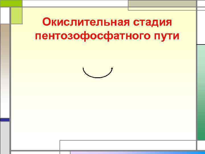  Окислительная стадия пентозофосфатного пути 