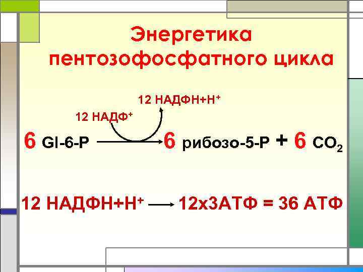    Энергетика  пентозофосфатного цикла   12 НАДФН+Н+  12 НАДФ+