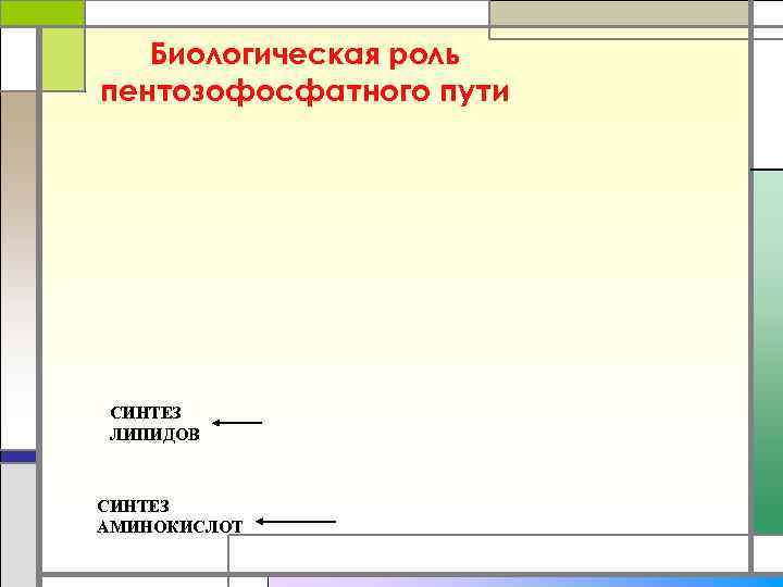  Биологическая роль пентозофосфатного пути СИНТЕЗ ЛИПИДОВ  СИНТЕЗ АМИНОКИСЛОТ 