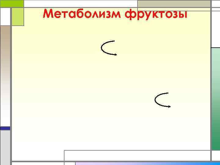 Метаболизм фруктозы 