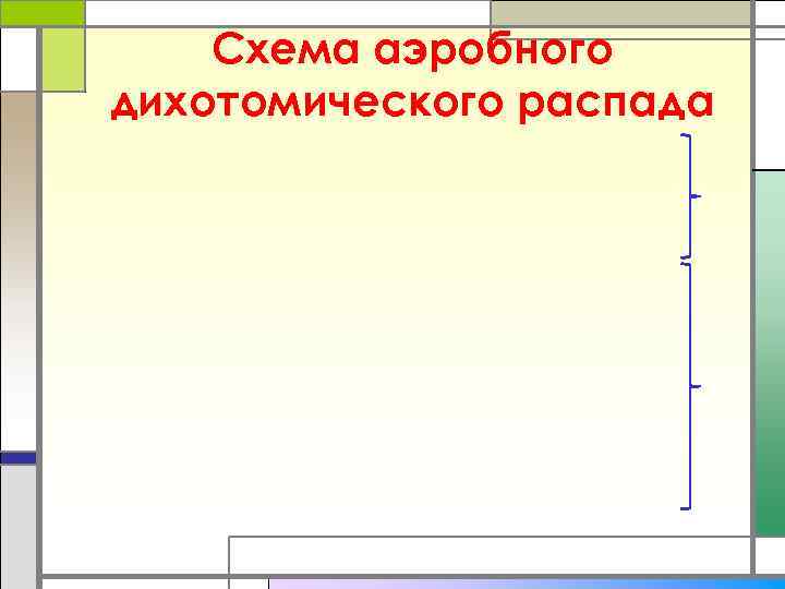   Схема аэробного дихотомического распада 