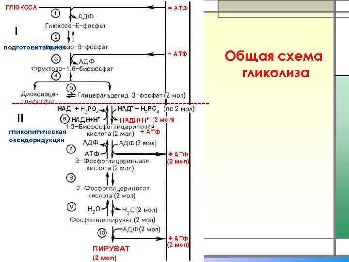  I подготовительная     Общая схема     