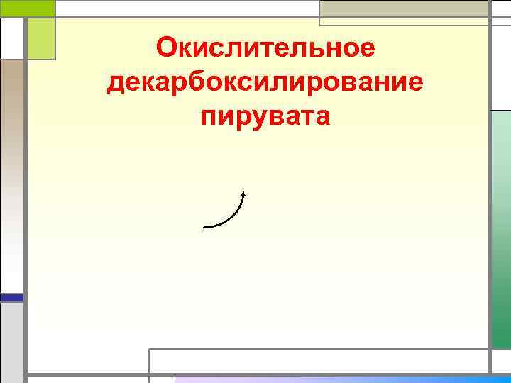   Окислительное декарбоксилирование  пирувата 