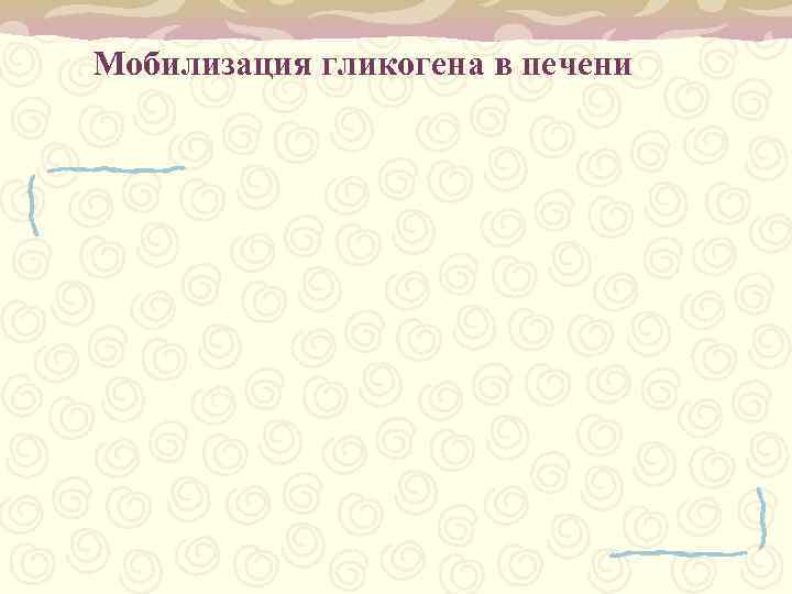 Мобилизация гликогена в печени 