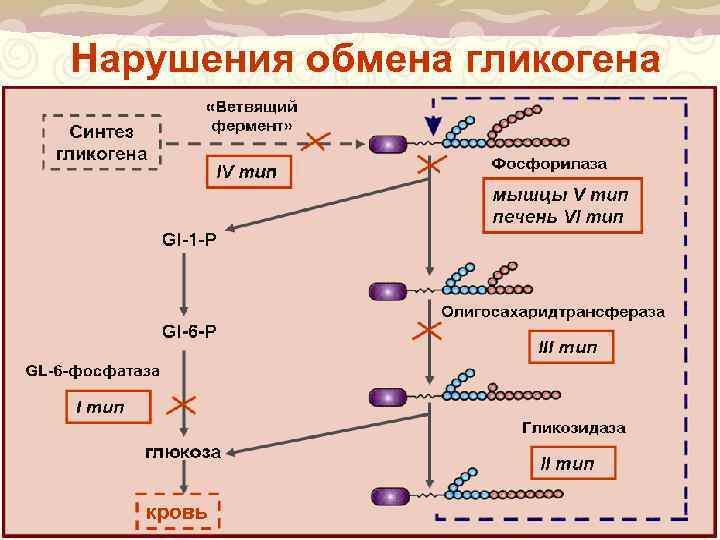 Нарушения обмена гликогена 