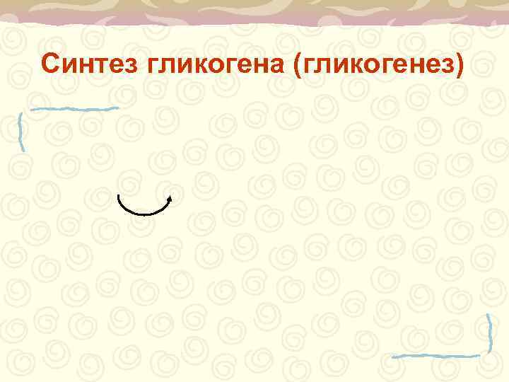 Синтез гликогена (гликогенез) 