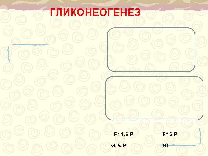 ГЛИКОНЕОГЕНЕЗ   Fr-1, 6 -P  Fr-6 -P   Gl-6 -P Gl