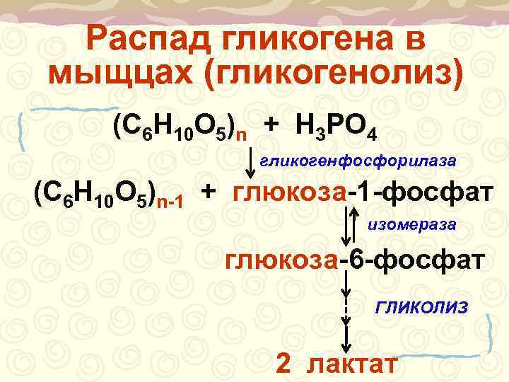  Распад гликогена в мыщцах (гликогенолиз) (С 6 Н 10 О 5)n + Н