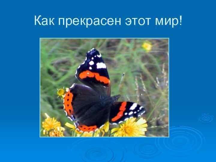 Как прекрасен этот мир! Как прекрасен этот мир!