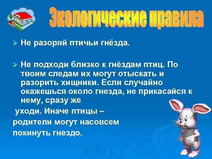 Ø Не разоряй птичьи гнёзда. Ø Не подходи близко к гнёздам птиц. Ø Не разоряй птичьи гнёзда. Ø Не подходи близко к гнёздам птиц.