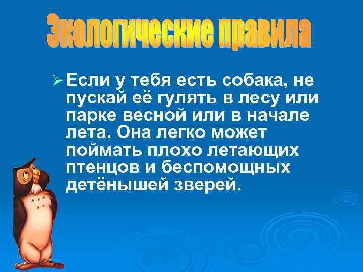 Ø Если у тебя есть собака, не пускай её гулять в лесу или парке Ø Если у тебя есть собака, не пускай её гулять в лесу или парке