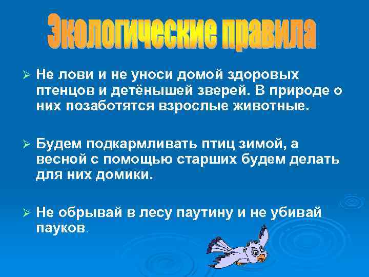Ø Не лови и не уноси домой здоровых птенцов и детёнышей зверей. В Ø Не лови и не уноси домой здоровых птенцов и детёнышей зверей. В